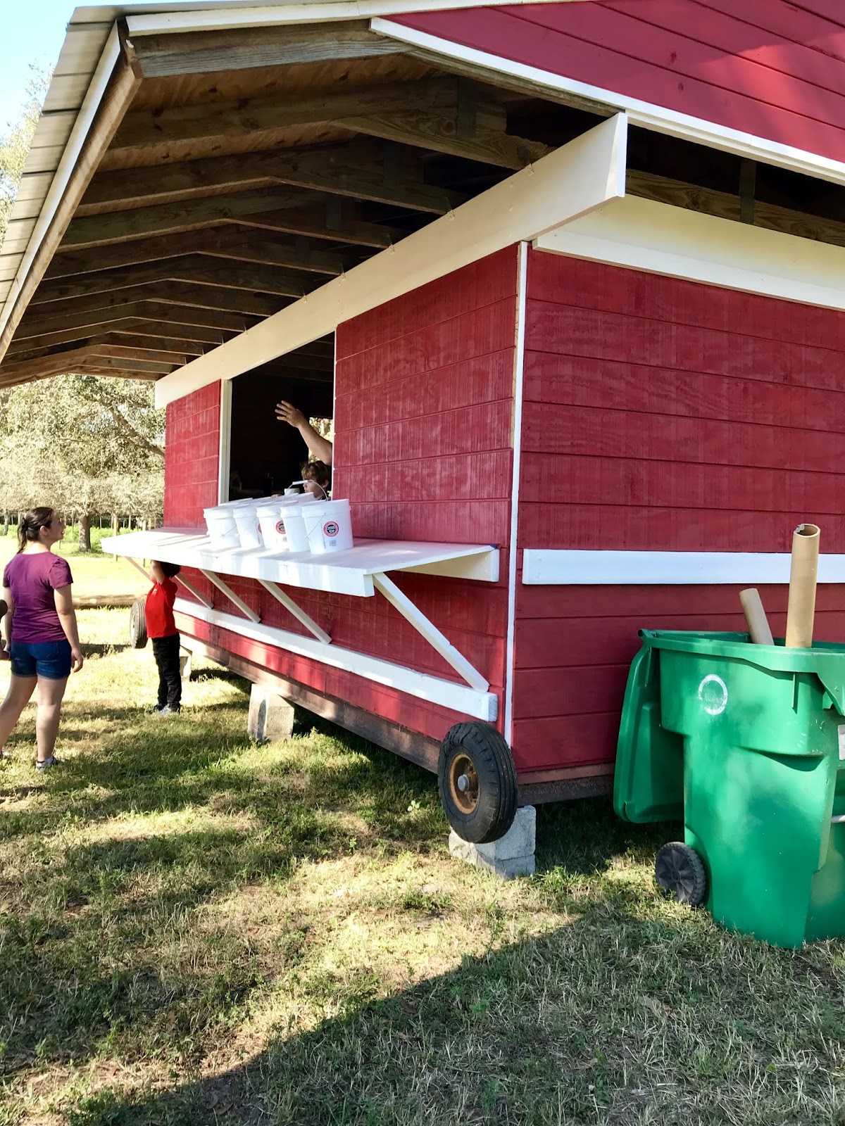 New Family Farm UPick Opens Up South Florida Moms